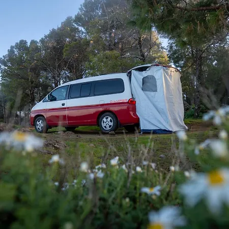 Mini Camper Hot Water, Drive It
